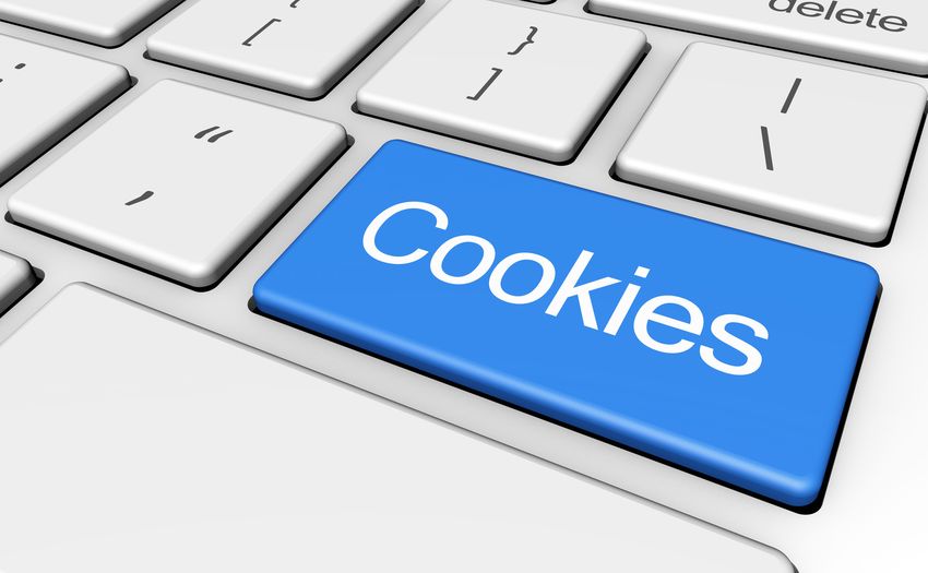 ¿Qué son las cookies y por qué deben usarse con autorización?