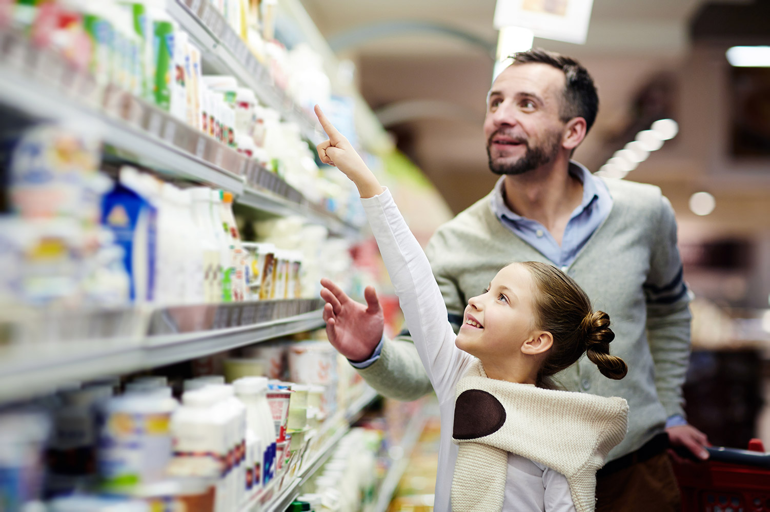 Consejos para ahorrar en la compra de alimentos