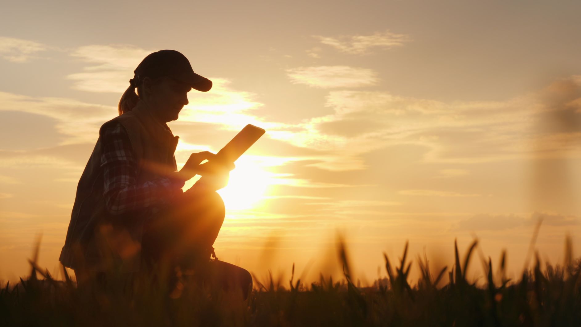 Campus rural, o el regreso académico a la España vaciada