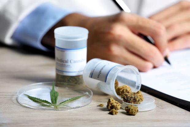 El Congreso ampliará los usos medicinales del cannabis en España